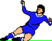 fsoccersldan.gif